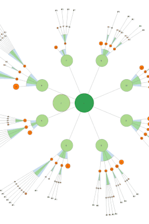 Arborescence Site Web